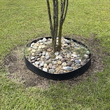 Clean-Up-Project-Conway-SC 10